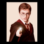 Harry Potter pekar trollspöet affischer