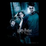 Harry Potter Ron Hermione i skog affischer