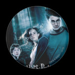 Harry Potter Ron Hermione i skog magneter