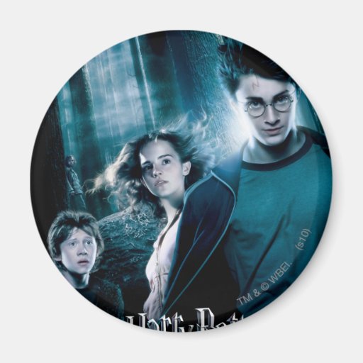 Harry Potter Ron Hermione i skog Magneter