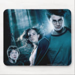 Harry Potter Ron Hermione i skog musmattor