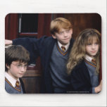 Harry, Ron och Hermione musmattor