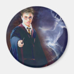 Harrys Potter fullvuxen hankronhjort Patronus Magneter För Kylskåp