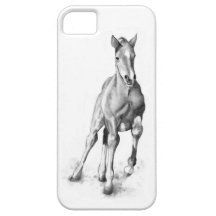 Häst Coltspring: Rita konst som är equine iPhone 5 Cases