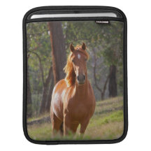 Häst i skogen sleeve för iPads