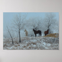 Hästar i misten print