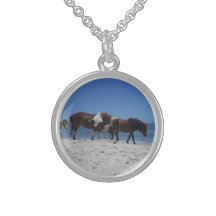 Hästar på strandhalsband