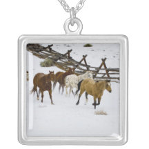 Hästar som är rinnande i snö halsband