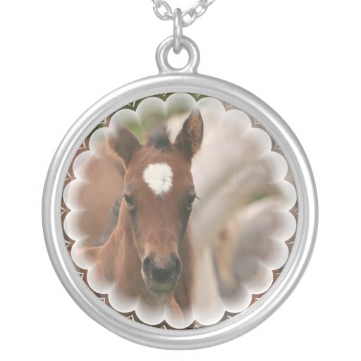 Hästbabyhalsband
