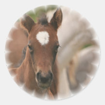 Hästbabyklistermärke