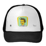   HAT