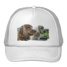 Hatt för baseball för engelskacockerspanielSpaniel Kepsar