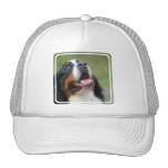 Hatt för Berner Sennenhund hundbaseball Baseball Hat