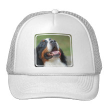 Hatt för Berner Sennenhund hundbaseball Baseball Hat