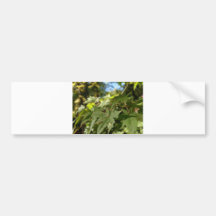 hav av blad 2 bildekaler
