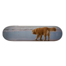 Hav för Retriever för Nova Scotia anka försiktigt  Skate Decks