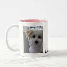 Havanese valp kaffe mugg