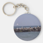 Havsfiskmåsar Nyckel Ring