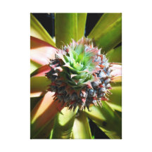 Hawaiansk ananas kanvasduk med gallerikvalitet 