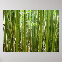 Hawaiansk bambu affischer
