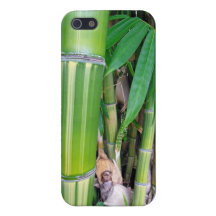Hawaiansk bambu iPhone 5 cover