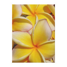 Hawaiansk Frangipani Canvastryck