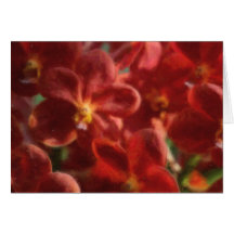 Hawaianska tropiska Orchidkort