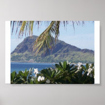 hawaii affisch
