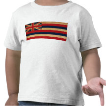 Hawaii flagga tröjor