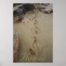 Hawaii grön Sandstrand Affisch