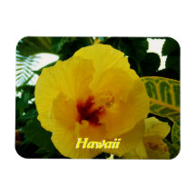 Hawaii gul hibiskus flexibla magneter