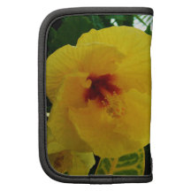 Hawaii gul hibiskus organizer