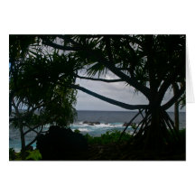 Hawaii Kort