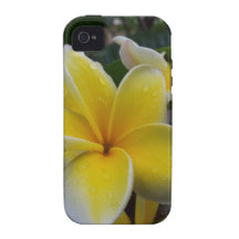 Hawaii Plumeria Flowers Case-Mate iPhone 4 Covers
