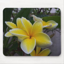 Hawaii Plumeria Flowers Mousepads