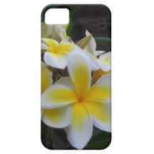 Hawaii Plumeriablommor iPhone 5 Fodraler