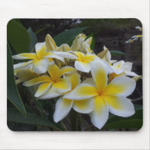 Hawaii Plumeriablommor Musmattor