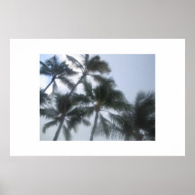 Hawaii Posters