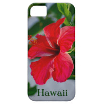 Hawaii röd hibiskus iPhone 5 fodraler