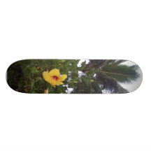 Hawaii stiger ombord skate boards