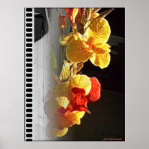 Hawaiibon flammar blommor Poster2 (filma remsan ve Affischer