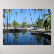 Hawaiin fiskdamm posters