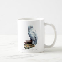 Hedwig på bokar muggar