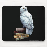 Hedwig på bokar musmattor