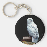 Hedwig på bokar nyckelringar