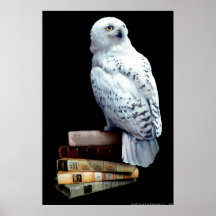 Hedwig på bokar print