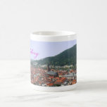 Heidelberg mugg muggar