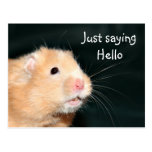 Hejhamster Vykort