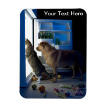 Hem- ensam hund- & kattmagnet