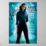 Hermione Granger Affischer